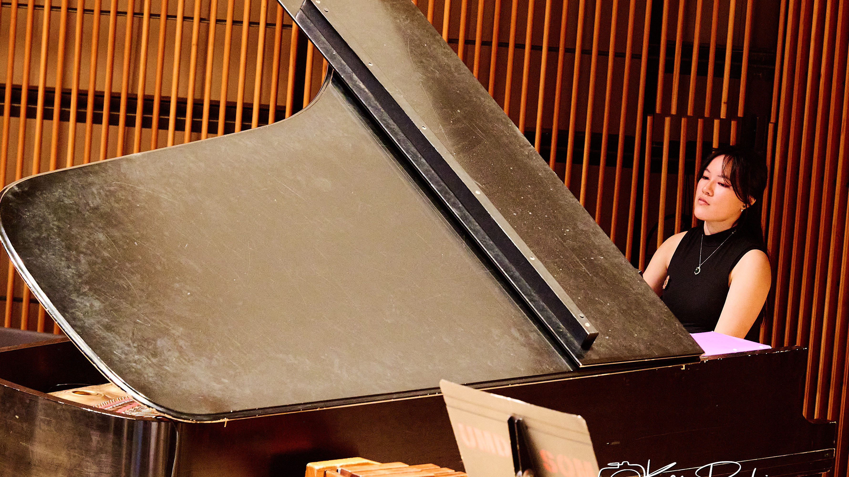 Woman at the piano.