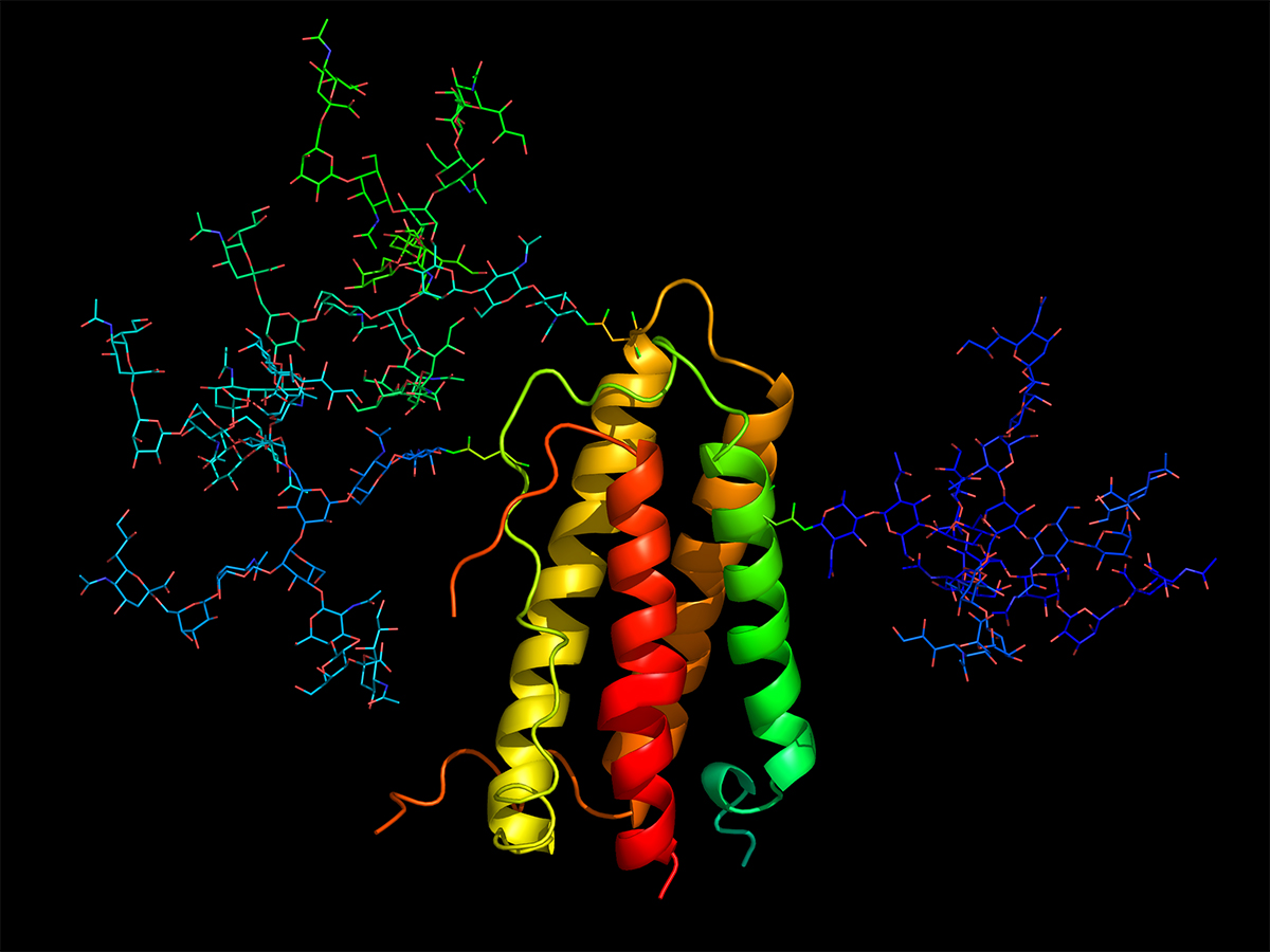 A 3D rendering of a protein molecule