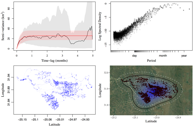 ctmm graphs analyzing animal tracking data