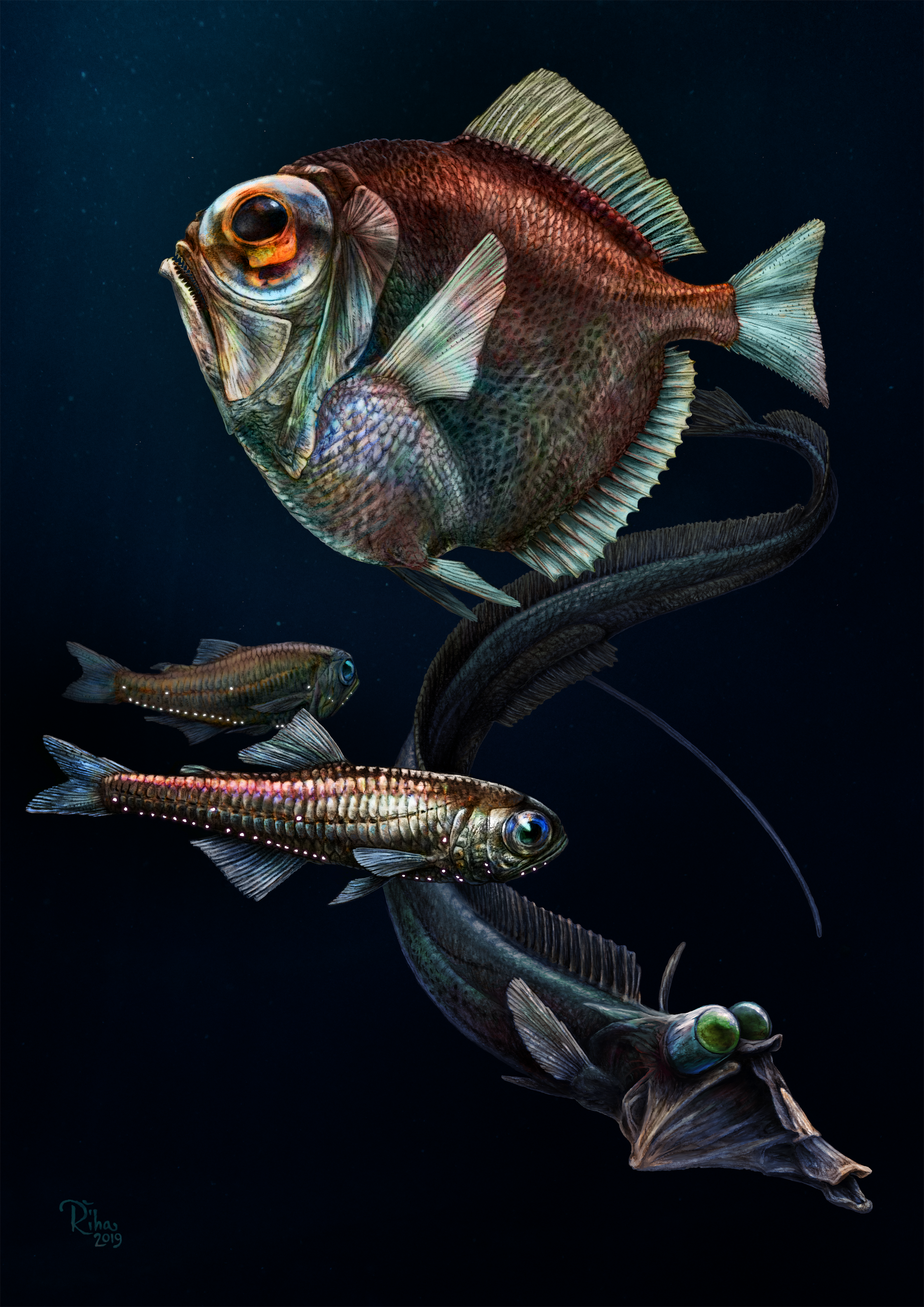 Deep fish illustration with lights