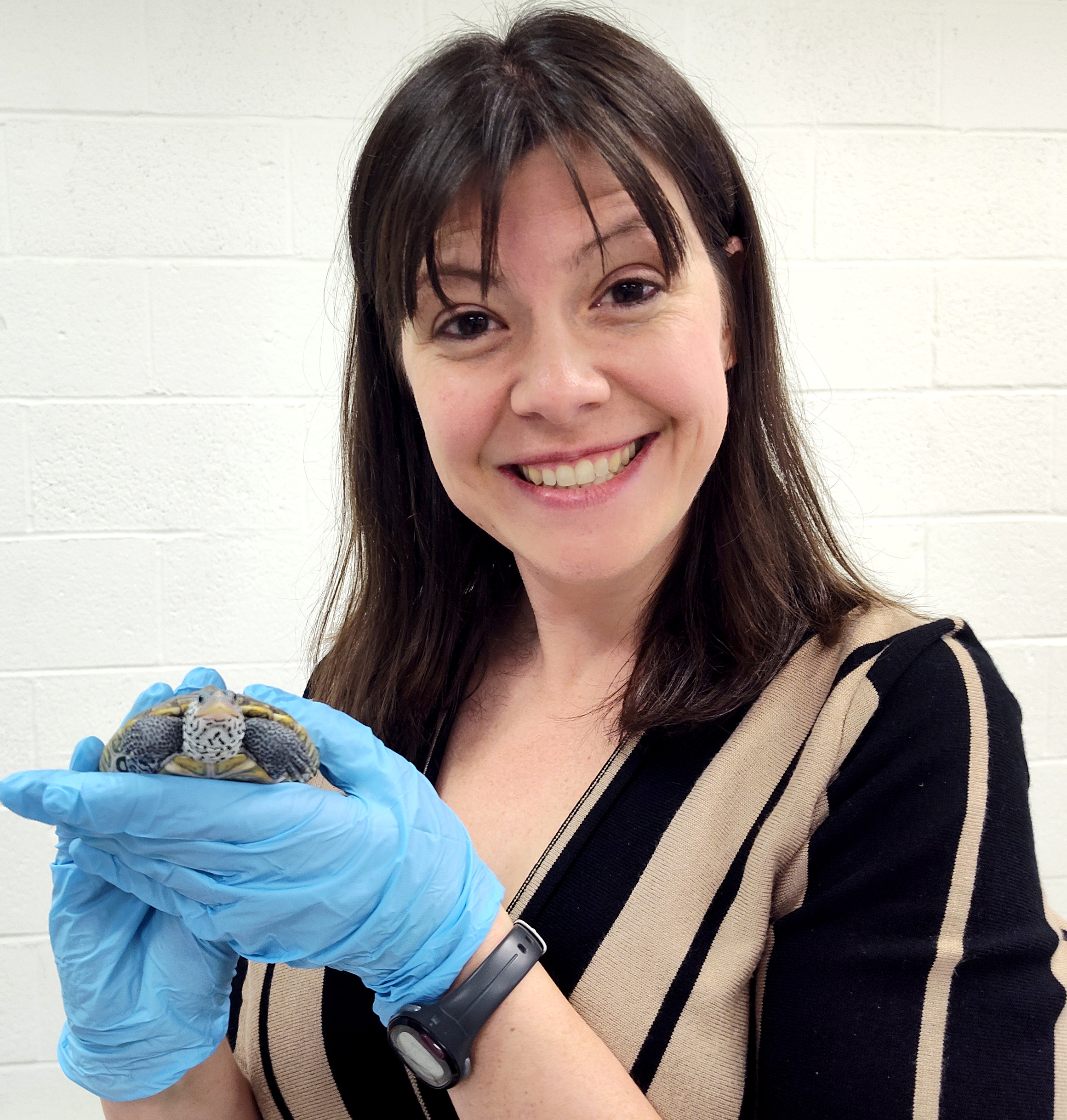 Sara Lombardi holding a Diamondback Terrapin