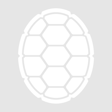 Placeholder shell image