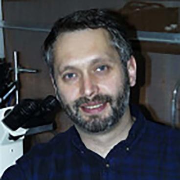 Profile photo of Sergei Sukharev