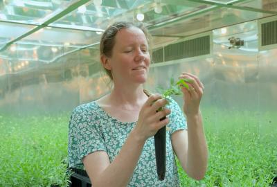 Woman holding up a plant in a greenhouse