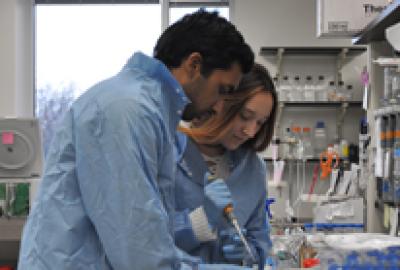 students in the lab