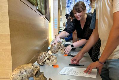 Senior Lecturer Kimberly Paczolt helps students with a hands-on activity during a class in October