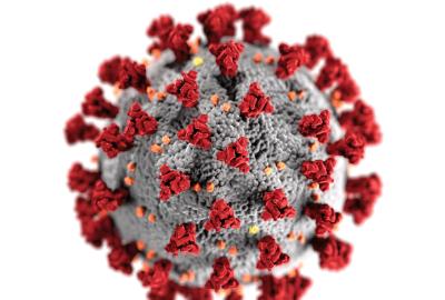 COVID-19 virus