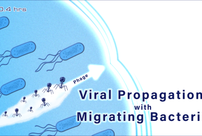 viral propagation with migrating bacteria illustration