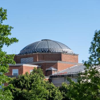 Dome of a building with red brick, surrounded by green trees, with blue sky above