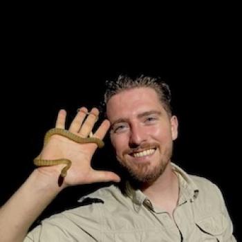 Jory van Thiel with a small non-venomous snake wrapped around his hand.