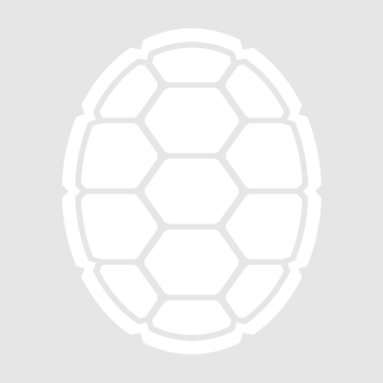 Placeholder shell image