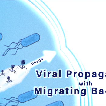 viral propagation with migrating bacteria illustration