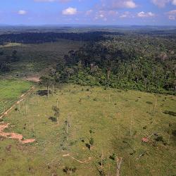Deforestation in Brazil
