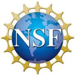 NSF logo square