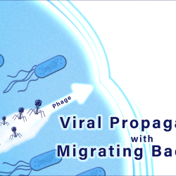 viral propagation with migrating bacteria illustration
